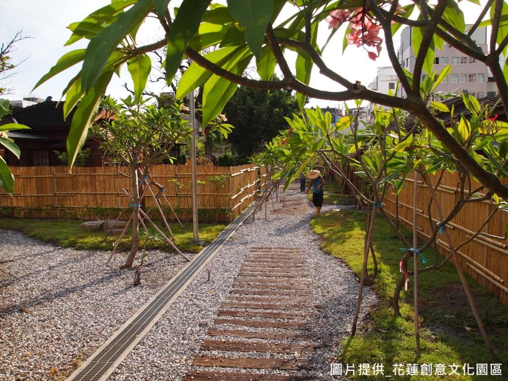 「鹿角林」 正好為雞蛋花學名,整條步道栽種許多雞蛋花。 「鹿角林」 正好為雞蛋花學名,整條步道栽種許多雞蛋花。