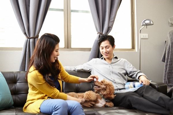 屋主吳典育原本的房間太過於雜亂,連睡覺的地方都快被