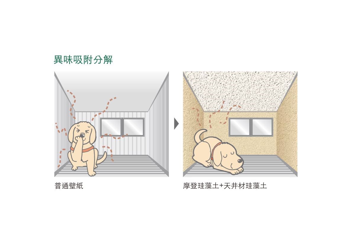 大自然中經過千萬年的生物循環,總會留下許多生物殘骸