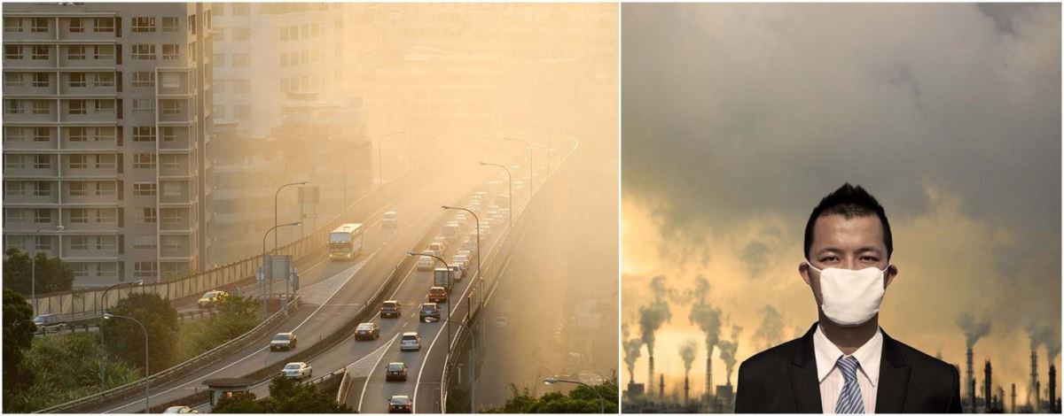 創造健康生活三大最關鍵的元素──陽光、空氣、水,在
