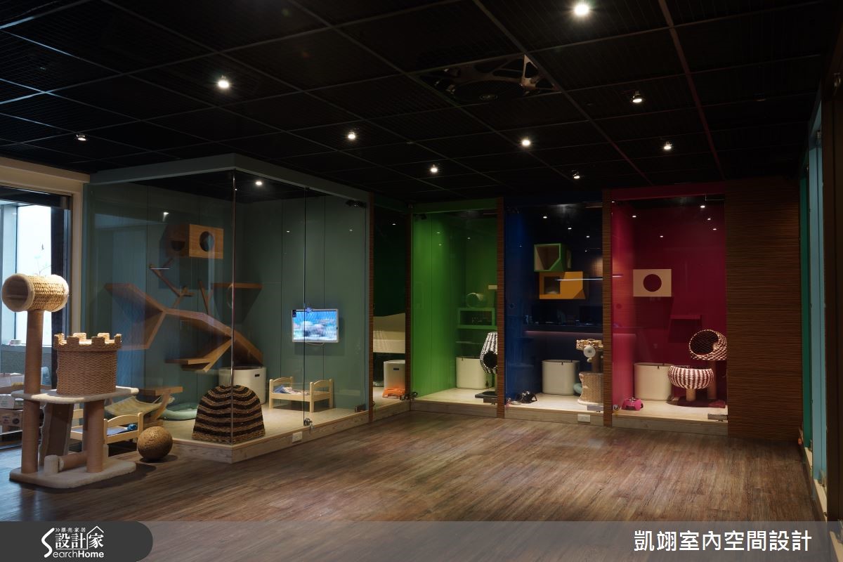 位於夜市商圈的貓咪商旅,規模約 53 坪,配有 12 間特
