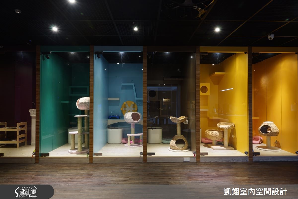位於夜市商圈的貓咪商旅,規模約 53 坪,配有 12 間特
