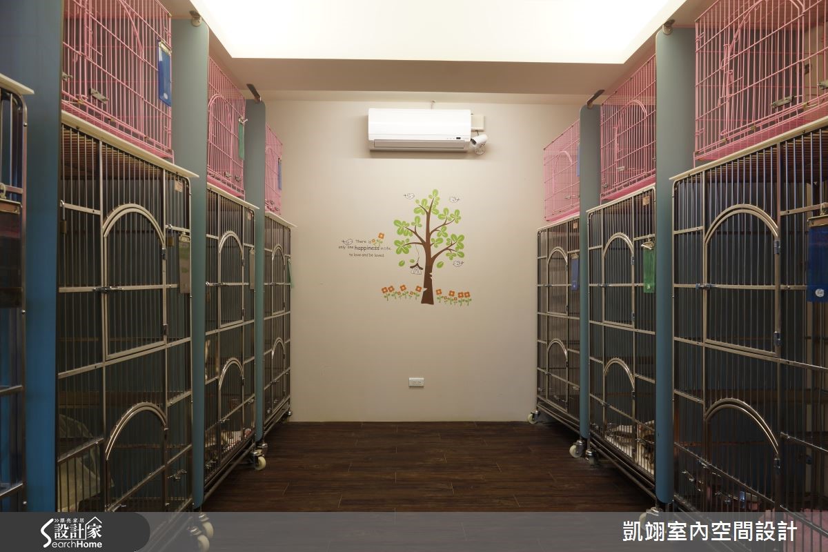 位於夜市商圈的貓咪商旅,規模約 53 坪,配有 12 間特