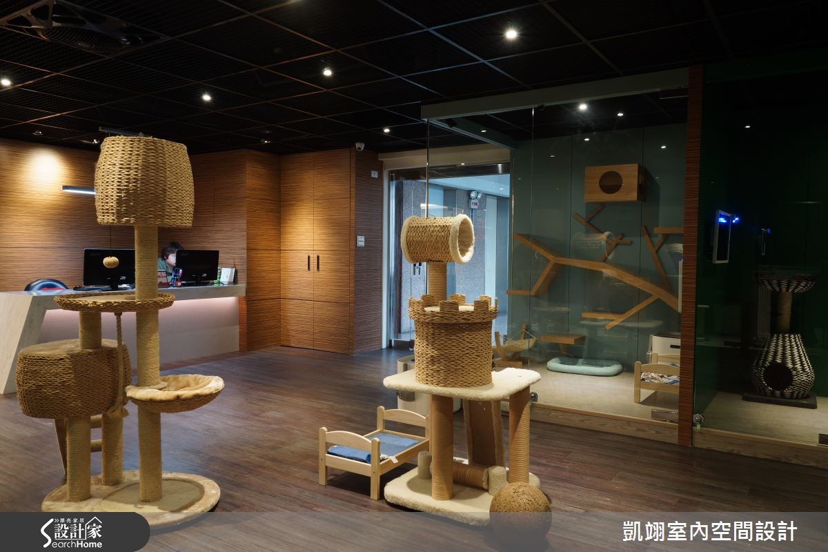 位於夜市商圈的貓咪商旅,規模約 53 坪,配有 12 間特