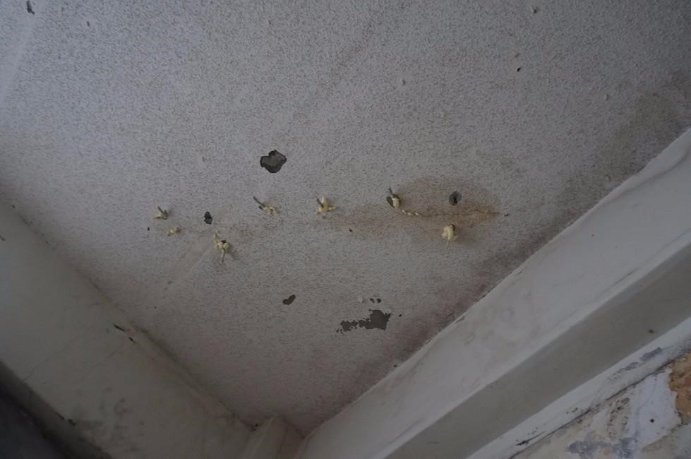 工班團隊與前來監工的設計師正緊鑼密鼓地進行拆除工程