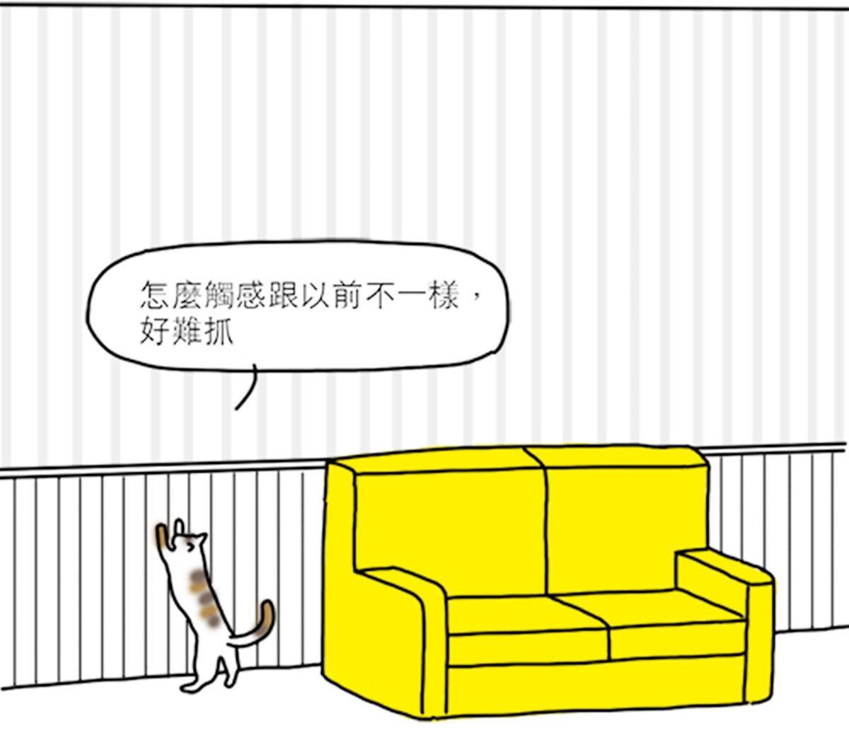 身為家庭成員之一的貓咪,自然也要考量他們的習性做出