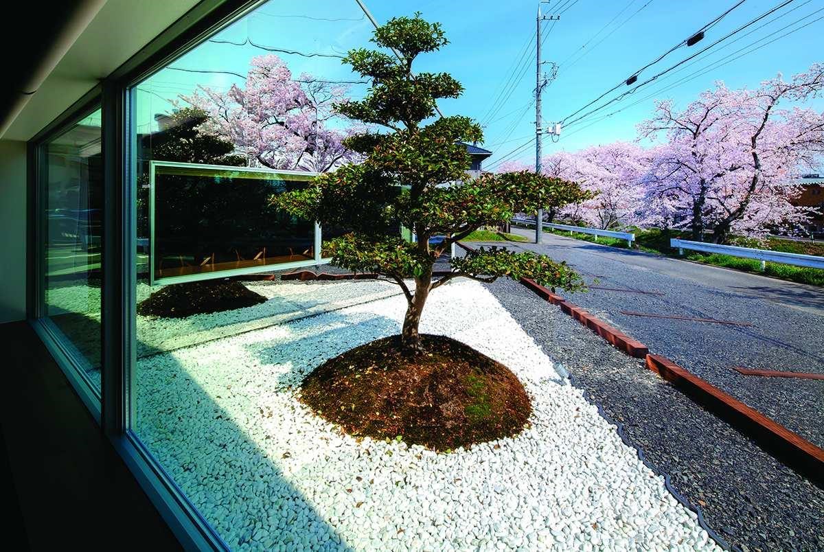 日文所謂「花見」,意即賞花,而且這個詞專屬於賞櫻,