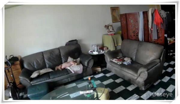 現今越來越多人愛在家裡放寵物監視器,最大的目的就是