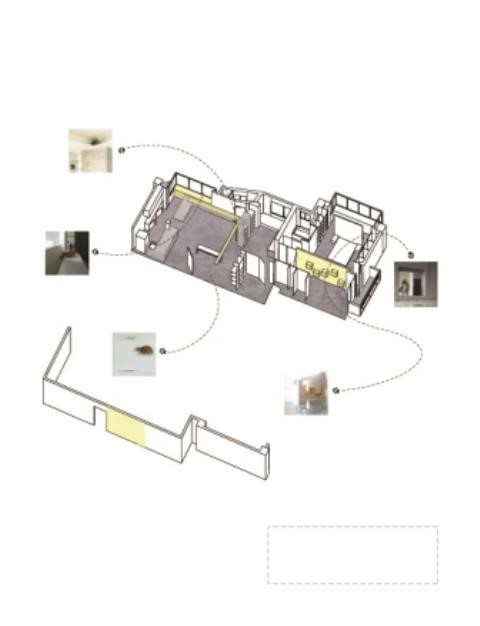 圖片提供_連浩延 出版社_麥浩斯 圖片提供_連浩延 出版社_麥浩斯