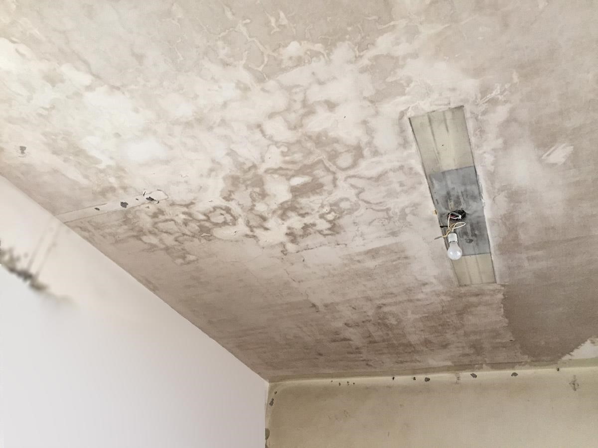 老公寓最高樓層的住戶通常要比其他樓層住戶多面對天花板漏水的問題。 圖片提供_林黛羚 老公寓最高樓層的住戶通常要比其他樓層住戶多面對天花板漏水的問題。 圖片提供_林黛羚
