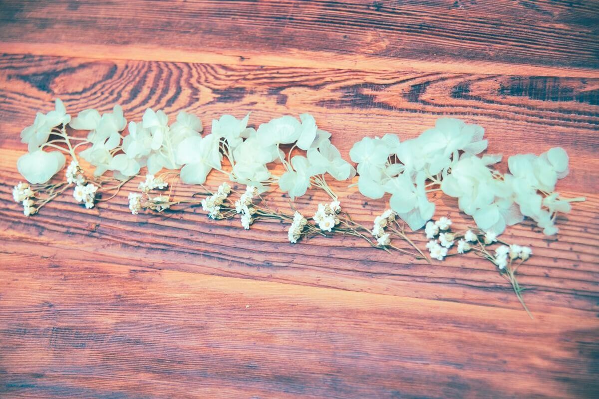 攝影_方品鈞 攝影_方品鈞