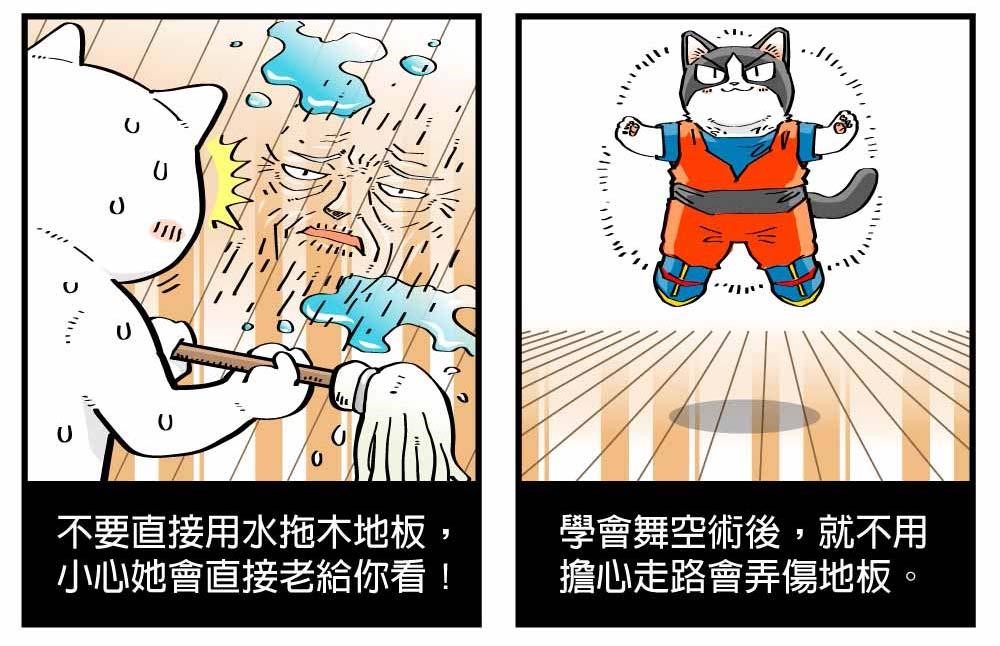 木地板因為觸感溫和,受到許多屋主的喜愛,大量運用於