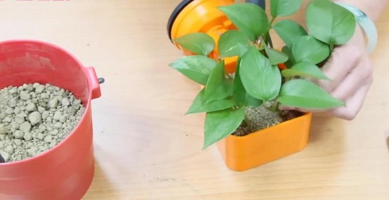 FECA 非卡空間魔法的吸盤式收納盒,沒有收納物品還能 DIY 變身小盆栽!>>同場加映:直播影片_職業媽媽的小廚房大變身 FECA 非卡空間魔法的吸盤式收納盒,沒有收納物品還能 DIY 變身小盆栽!>>同場加映:直播影片_職業媽媽的小廚房大變身