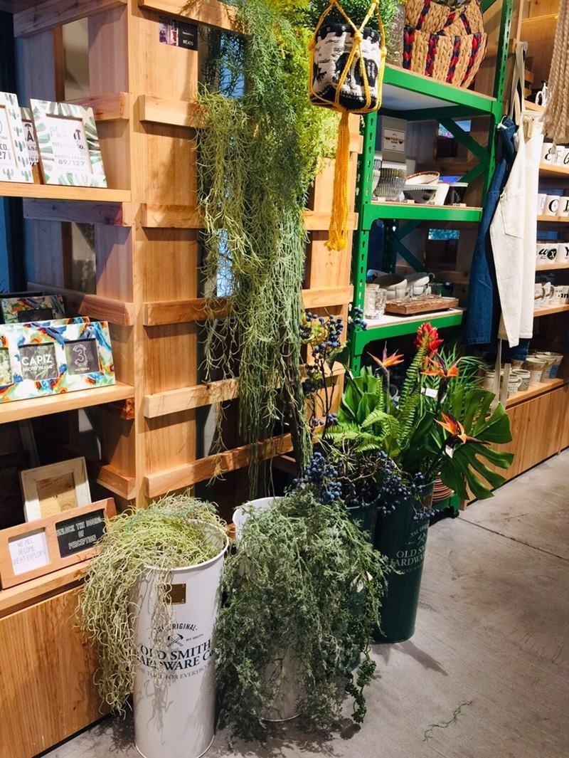 擬真植物與傘筒搭配。 擬真植物與傘筒搭配。