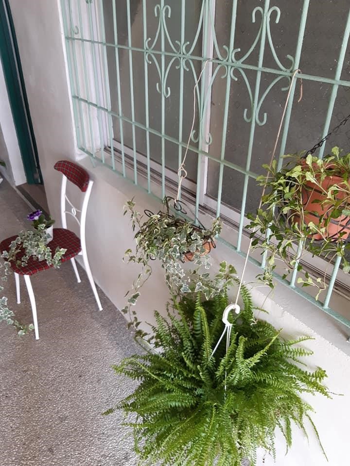 走廊的鐵窗花和盆栽布置。 走廊的鐵窗花和盆栽布置。