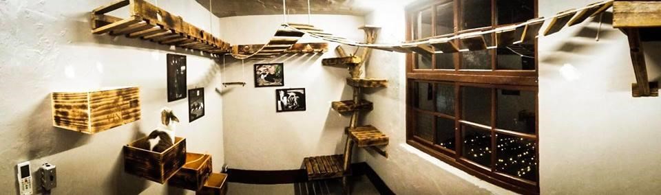 圖片提供_Ki Bo Ko。姊妹倆除了 DIY 貓房外,50 年老屋「南園食堂」改造也一手包辦。>> 看「南園食堂」改造完整報導。 圖片提供_Ki Bo Ko。姊妹倆除了 DIY 貓房外,50 年老屋「南園食堂」改造也一手包辦。>> 看「南園食堂」改造完整報導。
