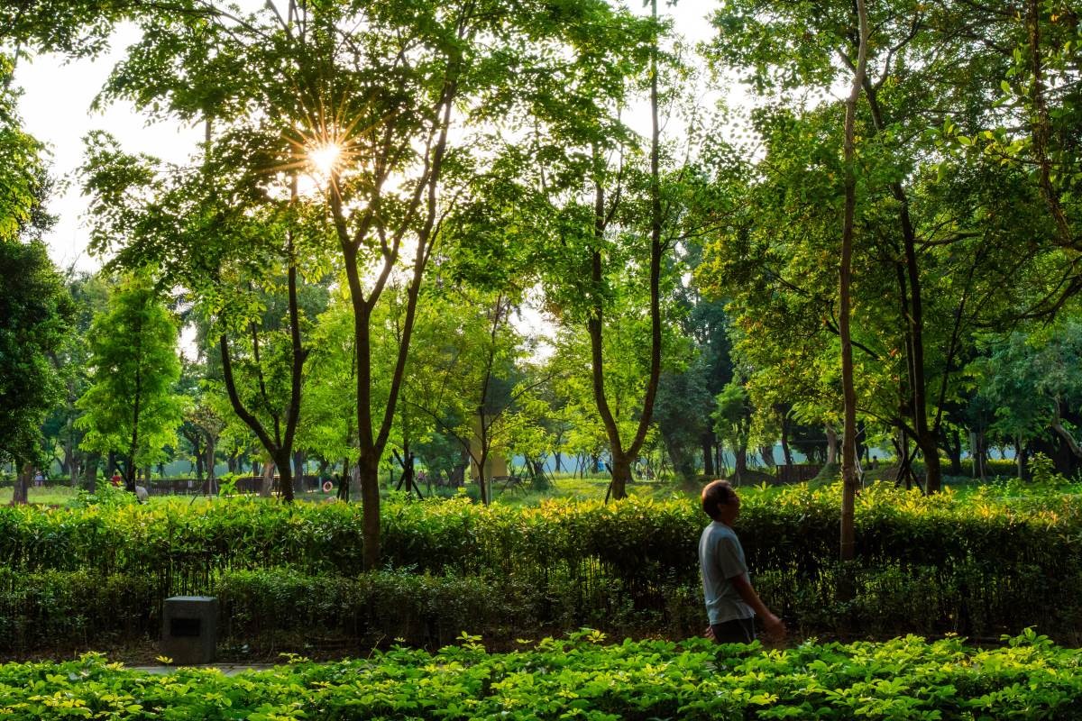 在如此富有多樣化生物,又兼節能減碳的環境下生活,「