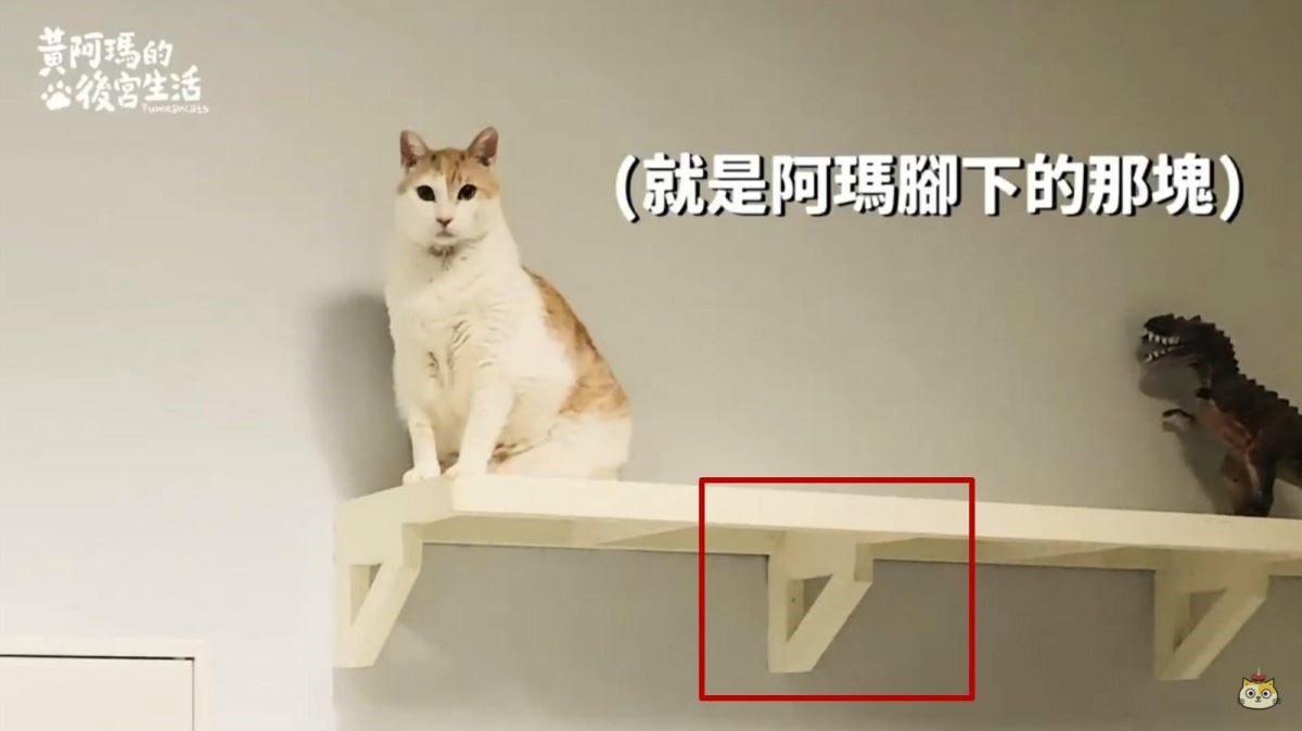 舊後宮的貓跳台,支撐及固定的位置在下方,在使用後發現,貓咪容易在下方行走時撞到頭,在新後宮時便有所改良。 舊後宮的貓跳台,支撐及固定的位置在下方,在使用後發現,貓咪容易在下方行走時撞到頭,在新後宮時便有所改良。