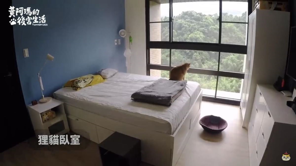 狸貓的房間同樣用藍色作為主視覺。 狸貓的房間同樣用藍色作為主視覺。