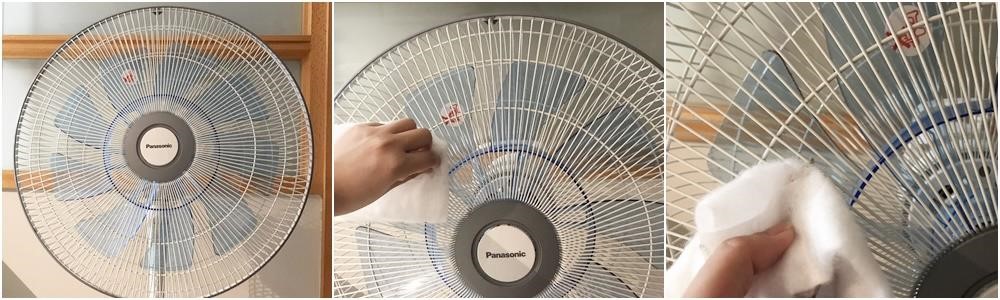 圖片提供_戴苡如 圖片提供_戴苡如