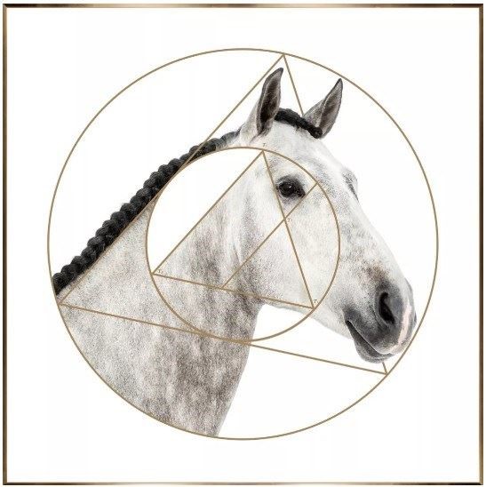 世博展覽館 H1D01 / 顏料塊家居飾品 世博展覽館 H1D01 / 顏料塊家居飾品