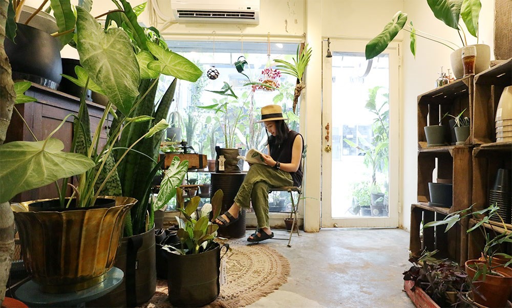 你是植物殺手嗎?還是覺得照顧植物好麻煩?不論是工作