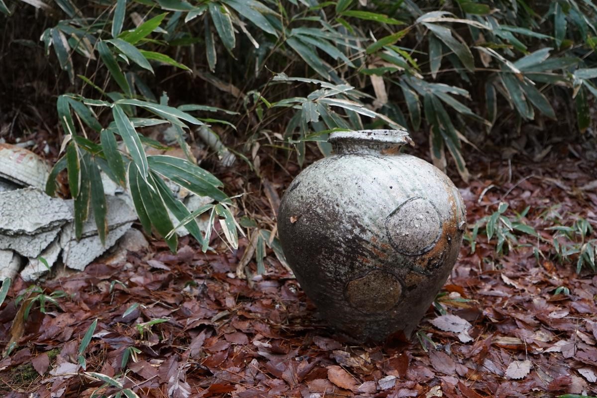 這個秋天,9月28日起,在台南「森初 · moricasa art