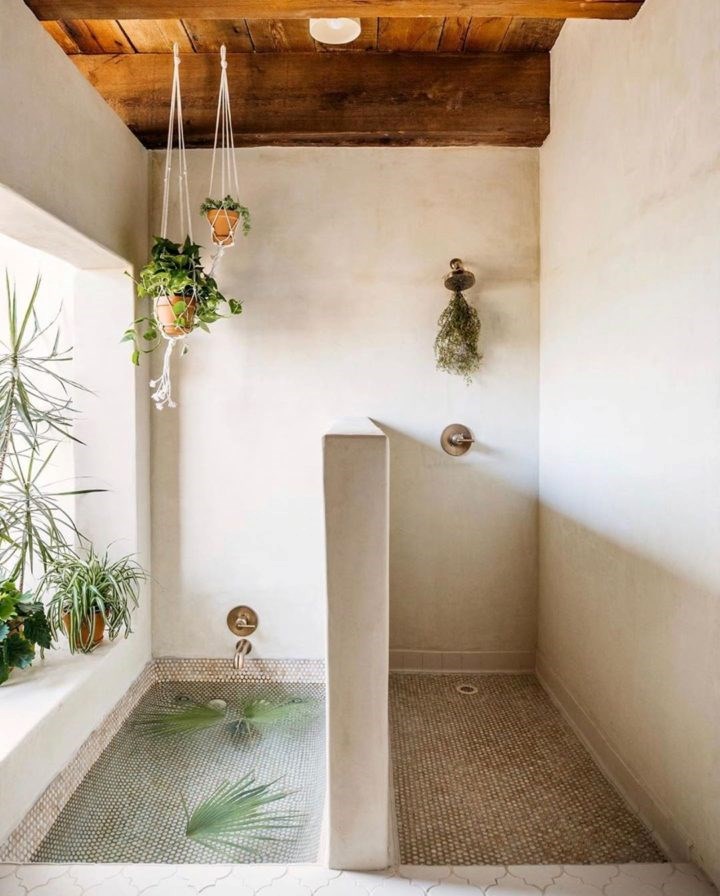 無窗也能活 10 種最適合養在浴室 美觀好布置植栽推薦 設計家searchome