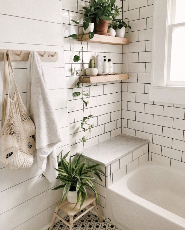 無窗也能活 10 種最適合養在浴室 美觀好布置植栽推薦 設計家searchome