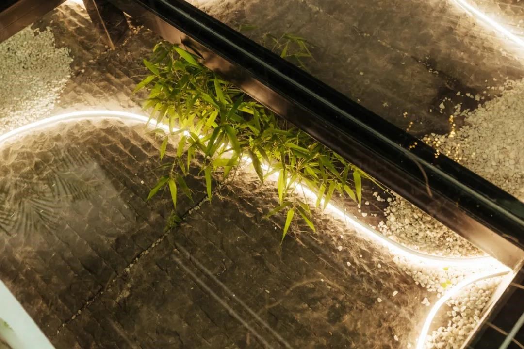“重生”的主題演講,讓來自無錫江陰的曾蓉獲得了3個1