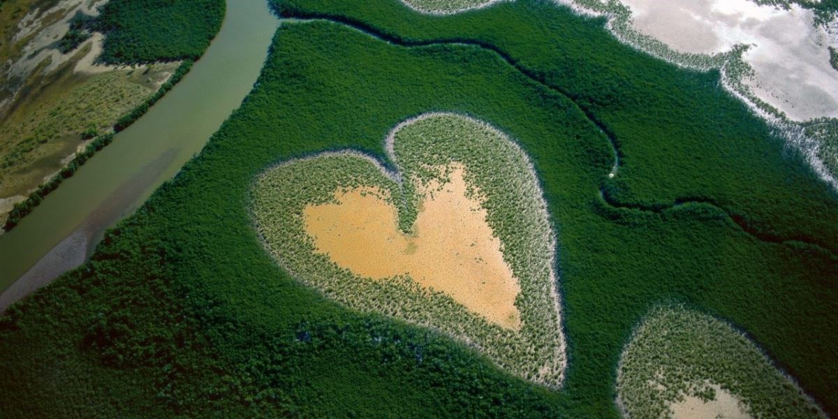 作品/Yann Arthus-Bertrand 作品/Yann Arthus-Bertrand