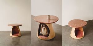 寫入空間的奢華陪伴：人寵生活美學品牌 PAMITIE 正式登場！ 首創人寵共享傢俱系列 以摩登弧線雕琢寵物生活的「陪伴角落」_視覺圖