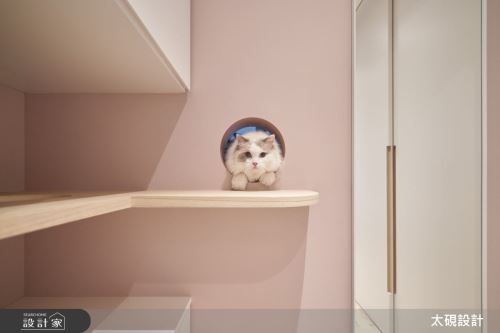太硯_貓貓貓貓宅_現代風