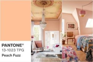 Pantone 2024 年度代表色 Peach Fuzz！如何應用在居家設計？_視覺圖