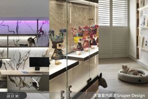 【TV】《20~50坪風格企劃》風格X收藏X毛孩 小宅設計的高密度生活美學_視覺圖