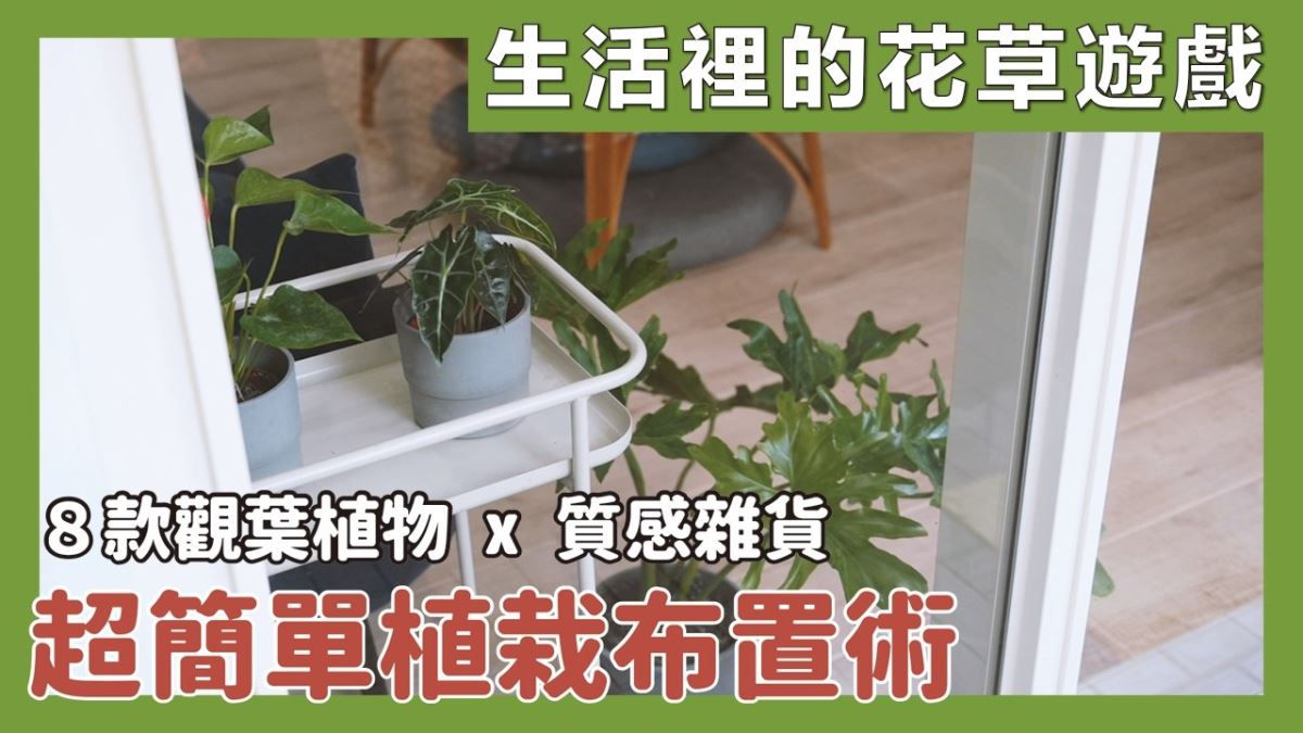 超簡單植栽佈置術！介紹 8 款室內觀葉植物，搭配質感雜貨佈置成波西米亞風_視覺圖