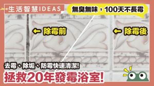 浴室沒窗戶這樣打掃！4大清潔神器搭配妙招，輕鬆去霉除垢還防霉_視覺圖