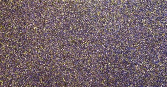 泛亞材料 PA Material -阿爾卑斯山的氣味_紫色飛燕草-阿爾卑斯山的氣味_紫色飛燕草,泛亞材料 PA Material ,美耐板