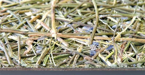 泛亞材料 PA Material -阿爾卑斯山的氣味_薰衣草秸稈和花-阿爾卑斯山的氣味_薰衣草秸稈和花,泛亞材料 PA Material ,美耐板