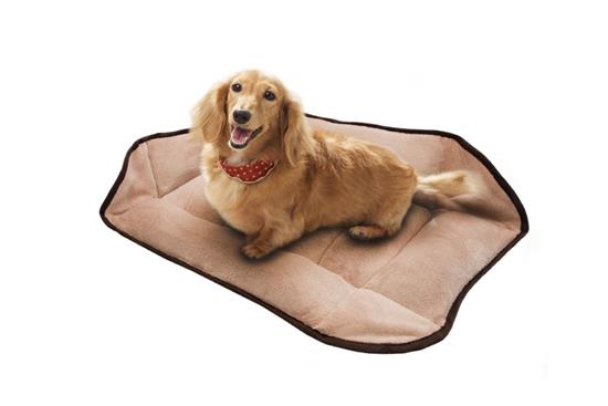 慎康企業-Convertible Bed 寵物舒適兩用床-Convertible Bed 寵物舒適兩用床,慎康企業,設計小物