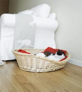 第二彈：解決換季寵物掉毛問題_視覺圖