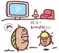 地毯豈只漂亮而已!(1)_視覺圖