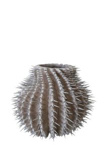 法系 x 泰式，手作陶器_視覺圖