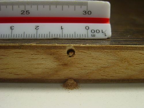 蟲蟲危機怎麼辦?三步驟教你平安度仲夏_視覺圖