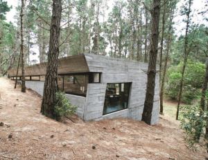 阿根廷「Concrete House」  融入自然的清水模住宅_視覺圖