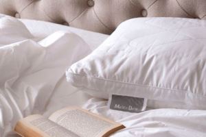 這個夏天，被胎該選誰？_視覺圖