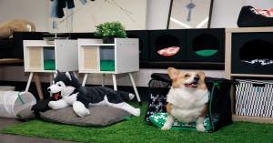 毛孩們，久等啦！IKEA 結合獸醫專業推出專屬寵物的 LURVIG 系列家具_視覺圖