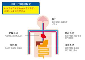 你所不知道的祕密 - 你知道汽柴油引擎淘汰掉的鉛酸電池都如何處理嗎？你知道海洋的鉛污染那來的？_視覺圖