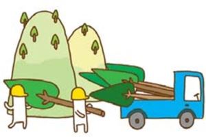 【木素材萬用事典】集成材_視覺圖