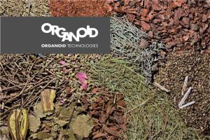 來自阿爾卑斯山上的氣味- Organoid®花草板_視覺圖